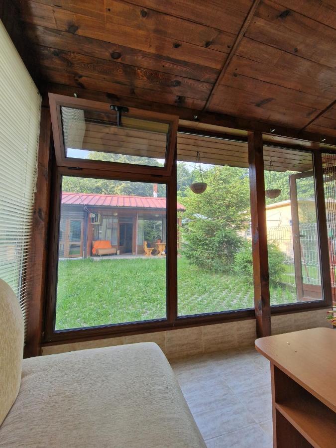 Rebeka * Tryavna